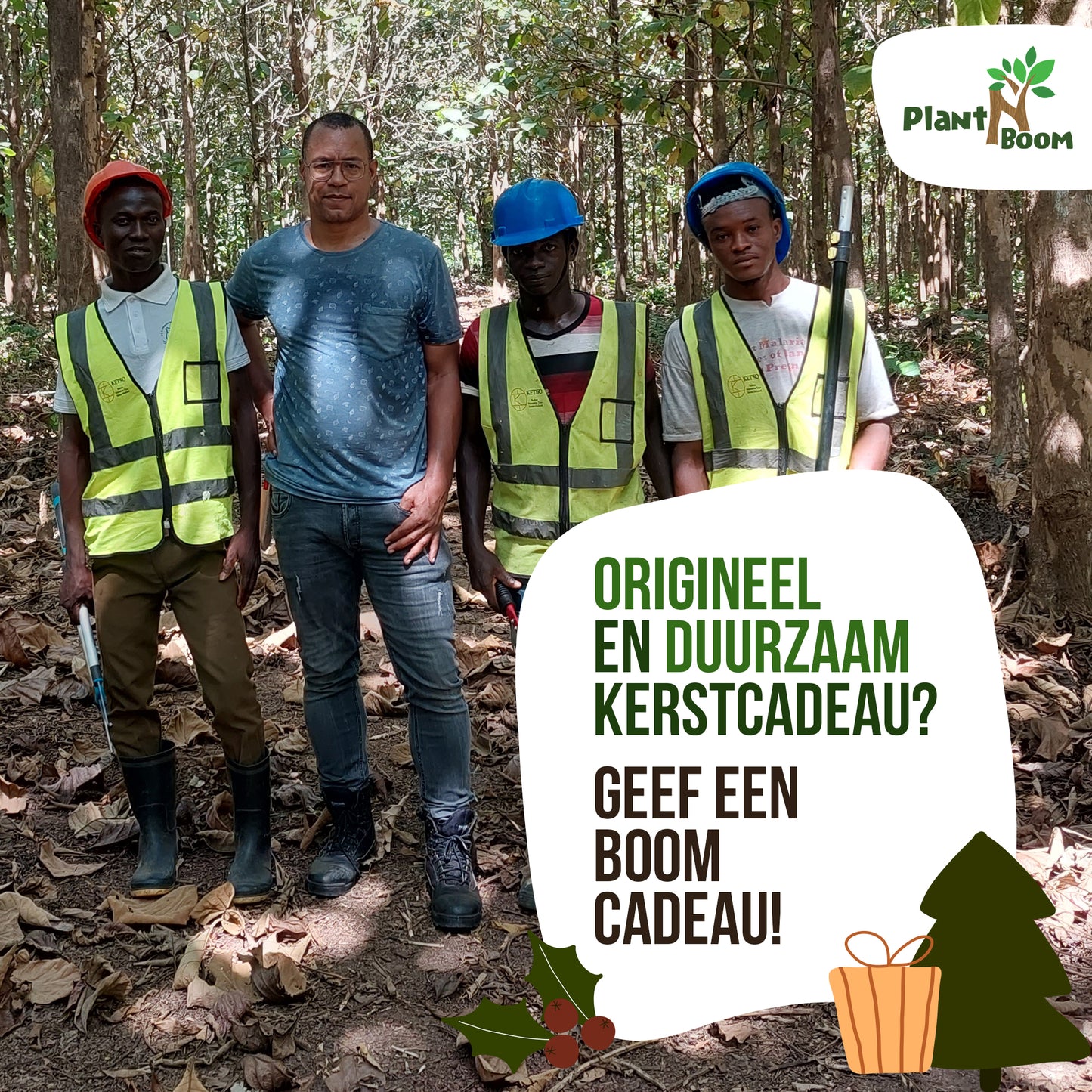 Origineel kerstcadeau? Geef een boom of een bos(je)!