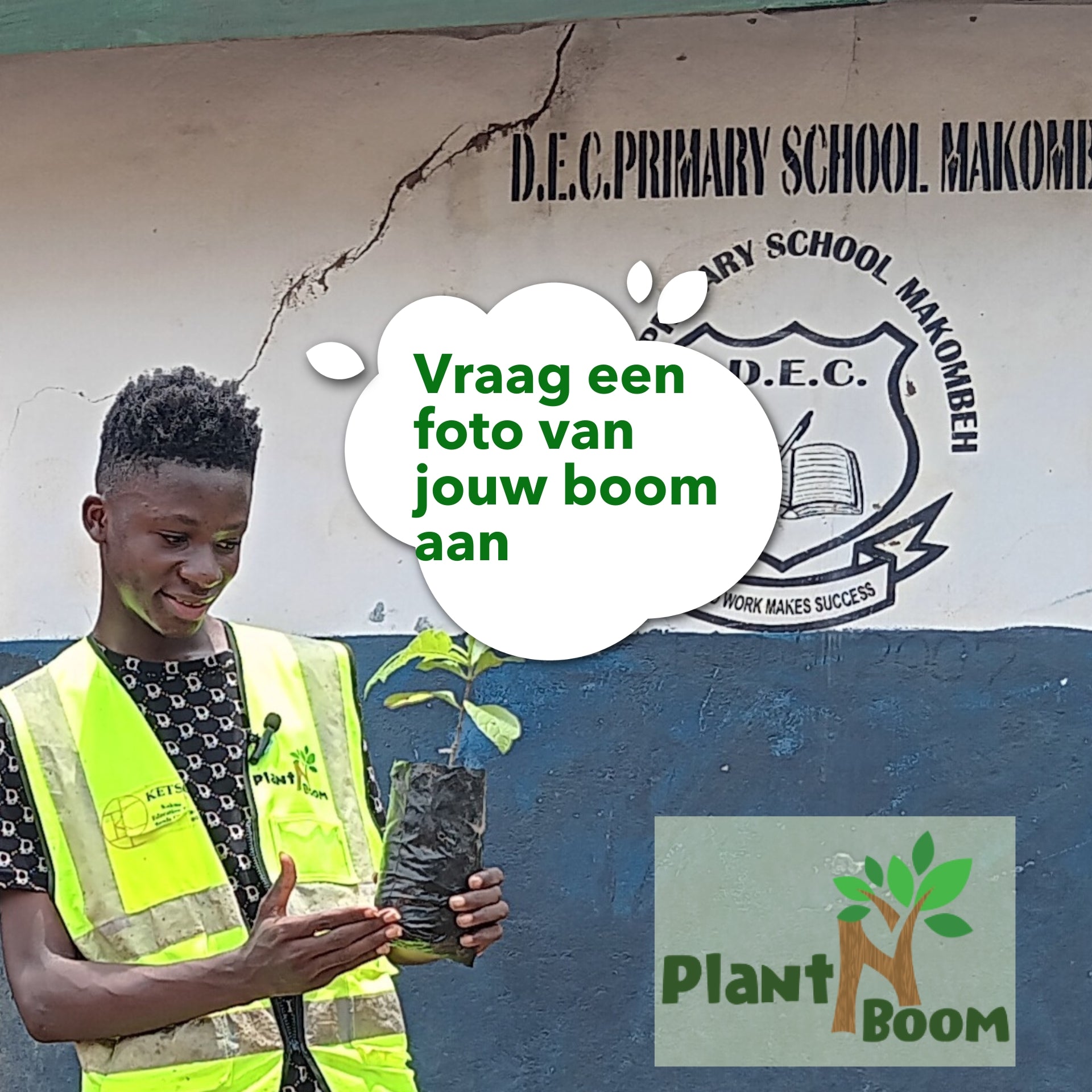 Met spoed een boomfoto