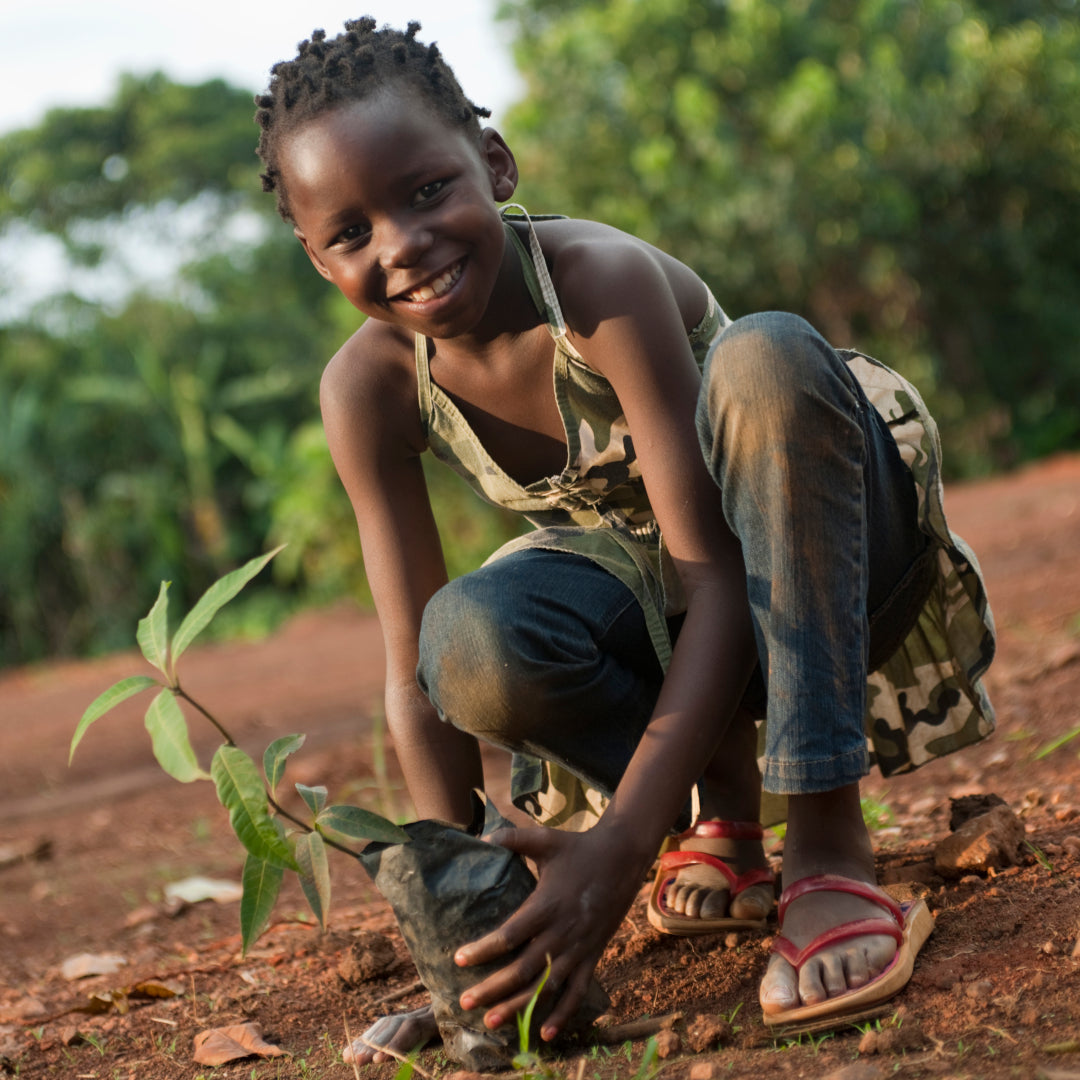Eenmalige Bijdrage – Forest Heroes