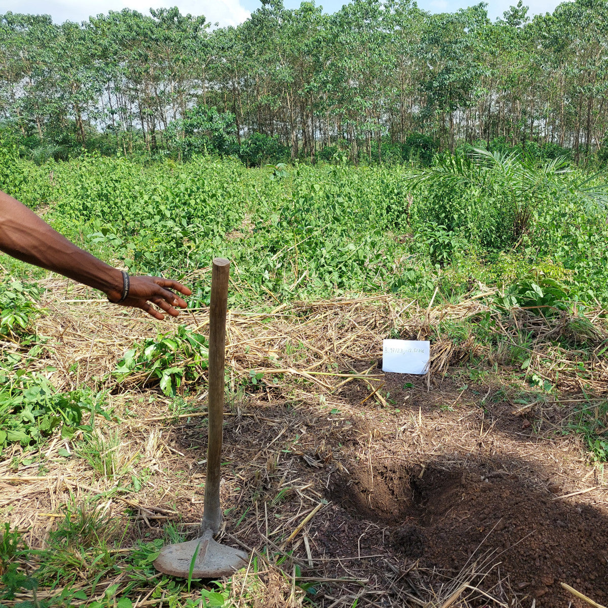 Hand die naar schoffel uitreikt