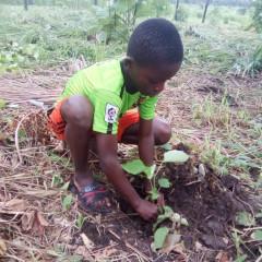 Koop een boom (voor jezelf)