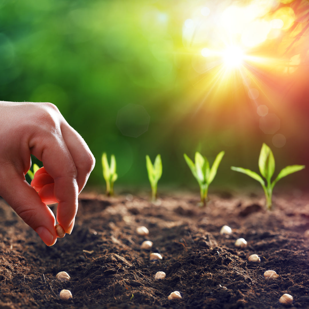 Persoons-abonnement (10 euro per maand)