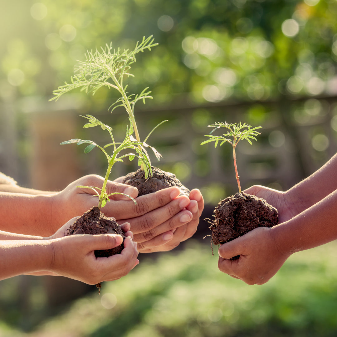 Gezins-abonnement (15 euro per maand)