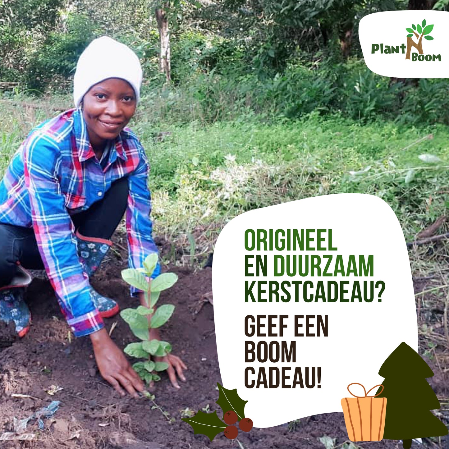 Origineel kerstcadeau? Geef een boom of een bos(je)!