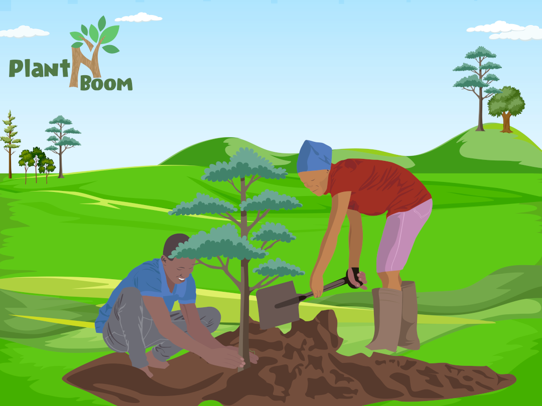 Video laden: Plant een boom om je CO2 uitstoot te compenseren