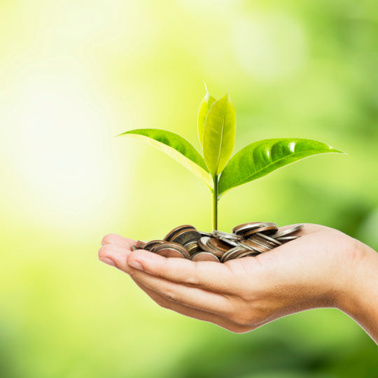 Monthly donation - Plant N Tree